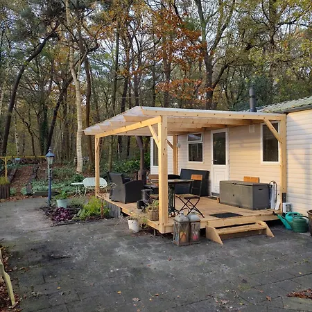 Chalet Met Veranda Aan Bosrand Vledder Exterior photo