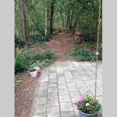 Chalet Met Veranda Aan Bosrand Vledder Exterior photo