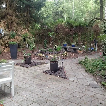 Chalet Met Veranda Aan Bosrand Vledder Exterior photo