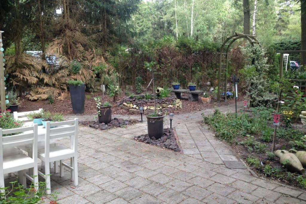 Holiday home Met Veranda Aan Bosrand Vledder