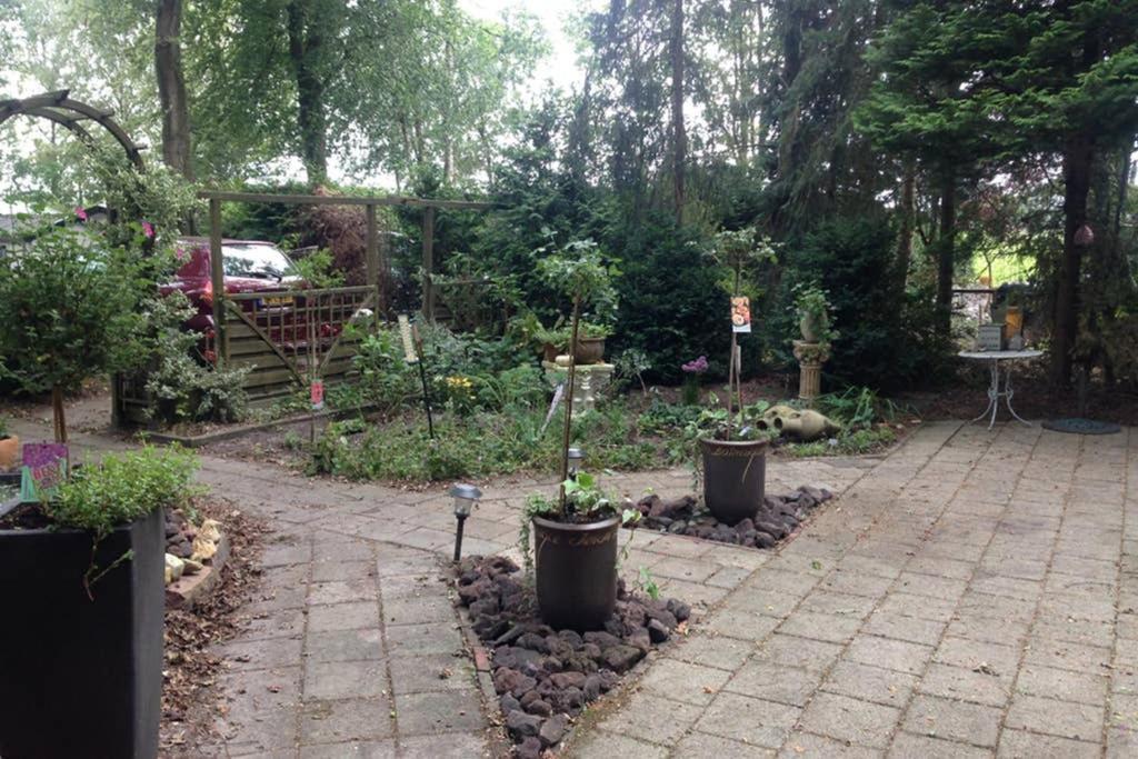 Met Veranda Aan Bosrand Vledder